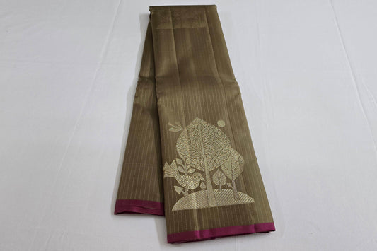 Borderless kanchipuram silk saree