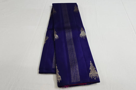 Borderless kanchipuram silk saree