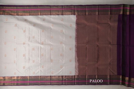 Light Beige Soft Silk Saree paloo