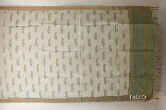 Cream with Olive green Borders Bhagalpur Tussar silk saree paloo