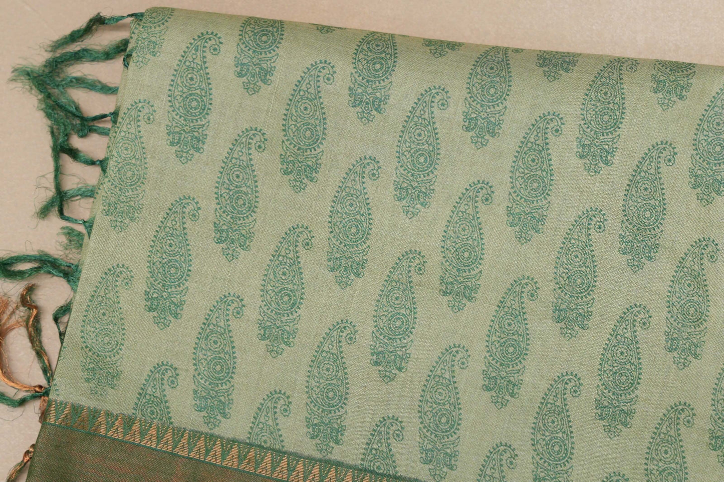 Pastel green with leaf green borders Bhagalpur Tussar silk saree by Shreenivas silks PSSR018841 - Parisera