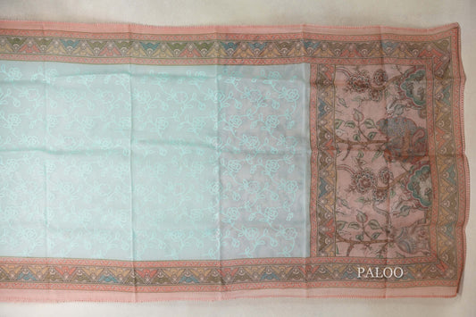 Pastel Aqua Blue with Multi Color Borders Organza Silk Saree paloo