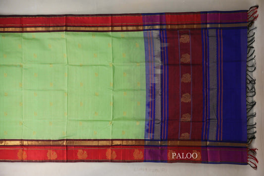 pastel green vintage silk cotton saree paloo