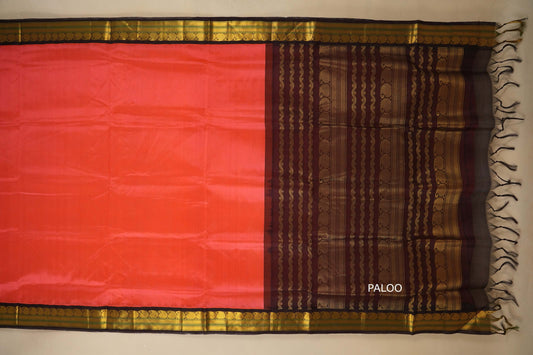 Peach and brown saree with gold border , silk cotton , nine and a half yards saree with paloo
