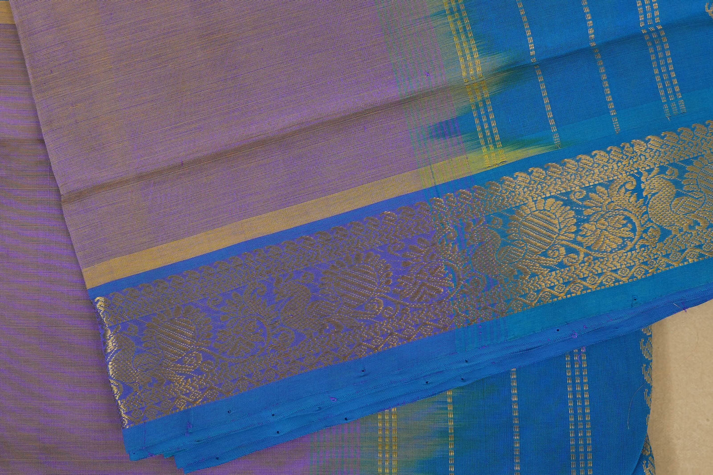 Saree with blue and gold border on a plain background, silk cotton , nine and a half yards saree close up