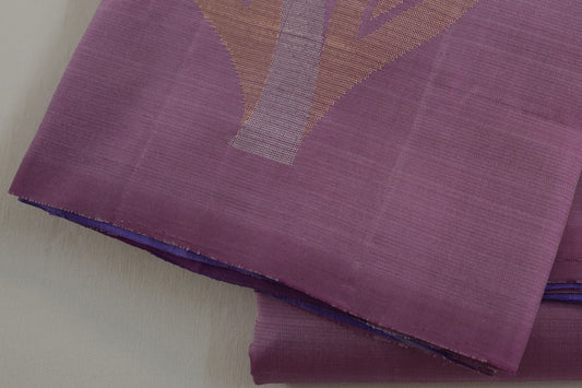 Borderless light weight kanchipuram silk saree