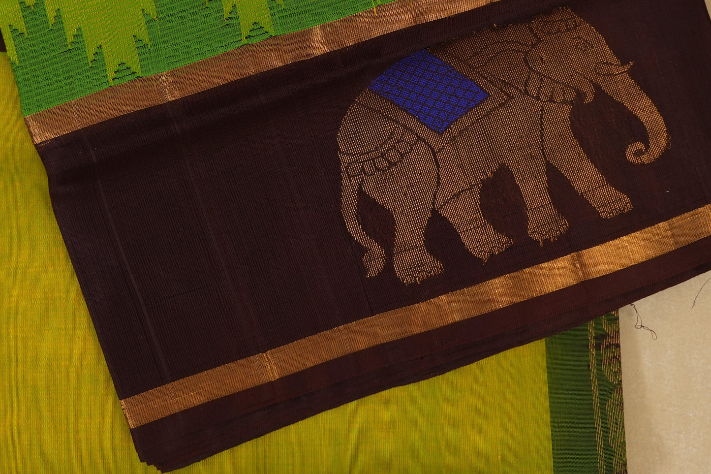 Fluorescent Green with Coffee Brown Borders Silk Cotton Saree borders