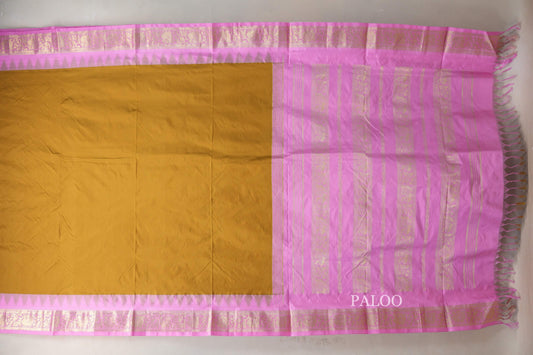 mustard gold Ten Yards Silk saree paloo