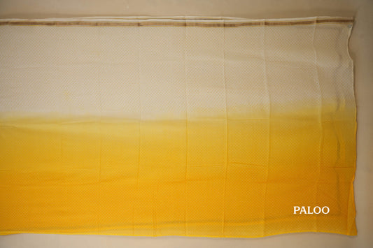 Ombre Yellow White Cotton Saree paloo