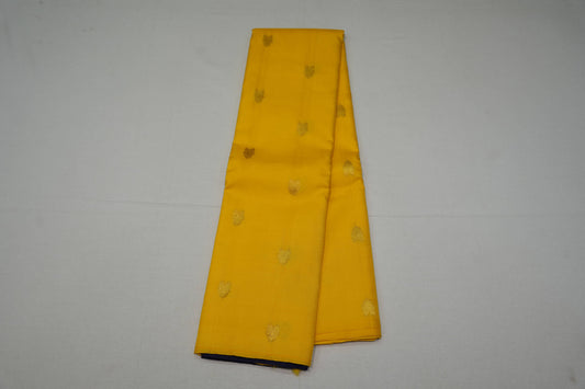 Borderless kanchipuram silk saree