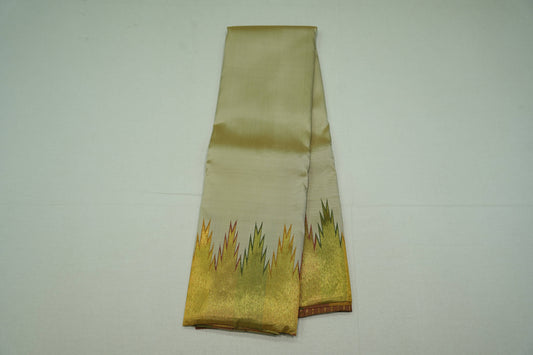 Temple borders kanchipuram silk saree