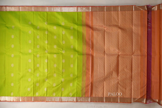 Parrot Green with Dual Tone of Pink and Yellow Borders Vintage Kanjivaram Silk Saree paloo