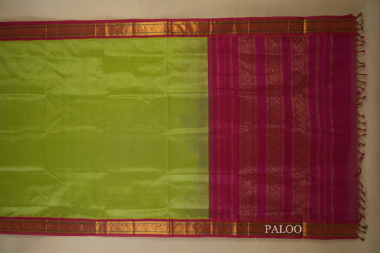 Pista Green with Pink Borders Silk Cotton Saree paloo