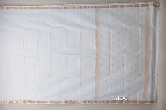 Milk White Light Weight Kanchipuram Silk Saree by Shreenivas Silks PSSR019631