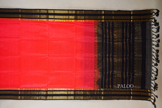 Bright Orangish Pink with Black Borders Silk Cotton Saree paloo