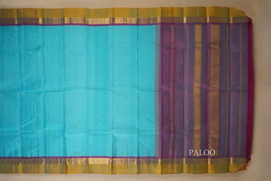 Sky Blue Light weight Kanjivaram Silk Saree paloo