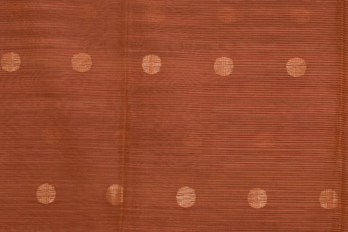 Silk Cotton saree PSCK260078 - Parisera