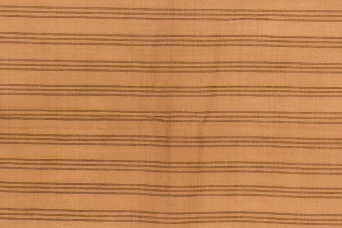 Pankaja Cotton tussar saree PSPJ150122 - Parisera