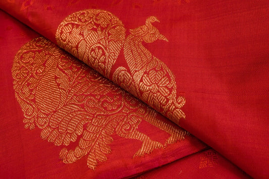 Art in a sari