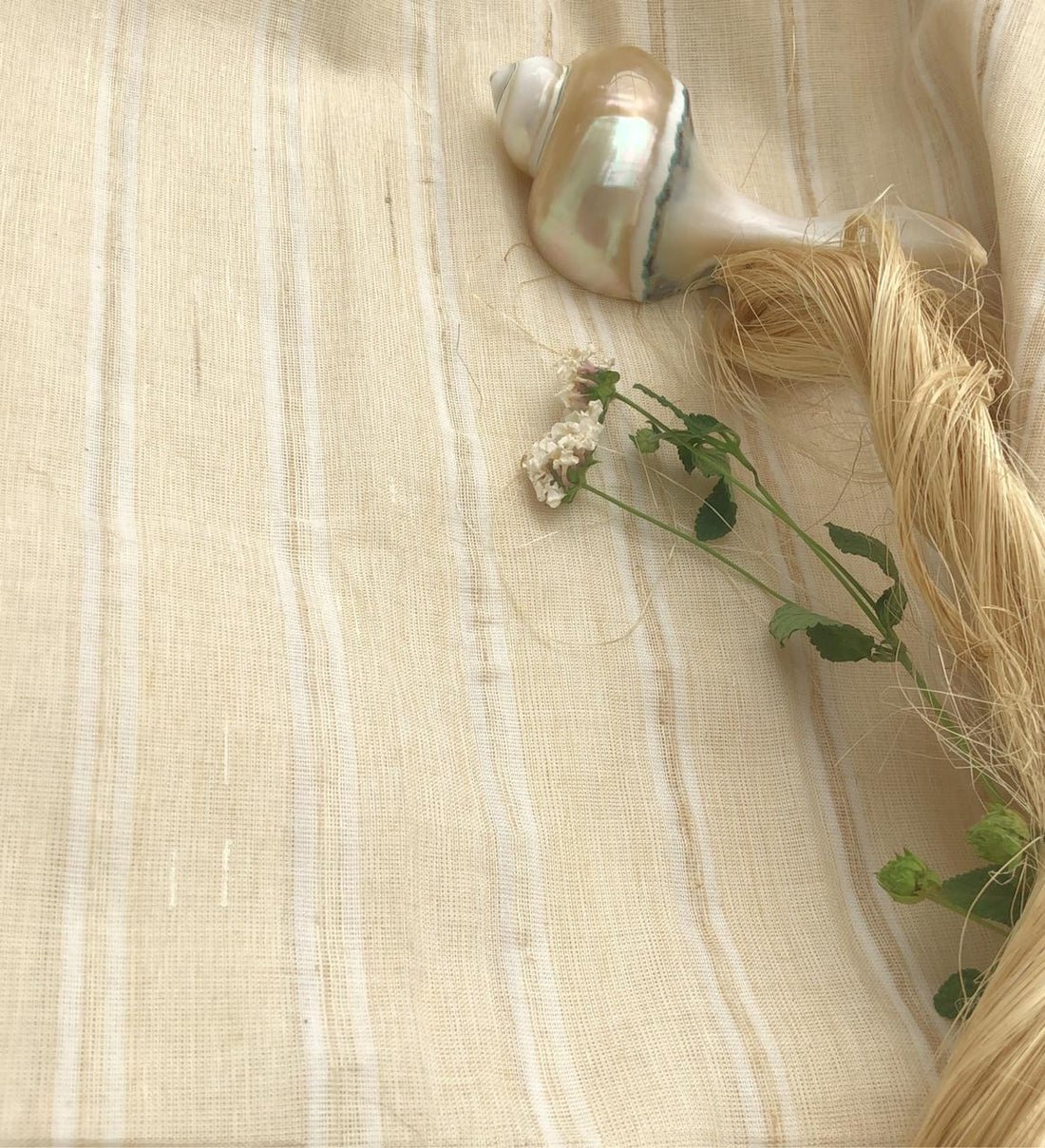 BANANA SILK - The most sustainable handloom sari - Parisera