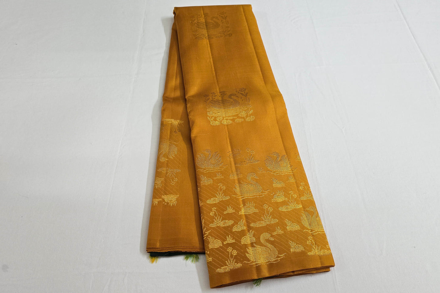 borderless kanchipuram silk saree