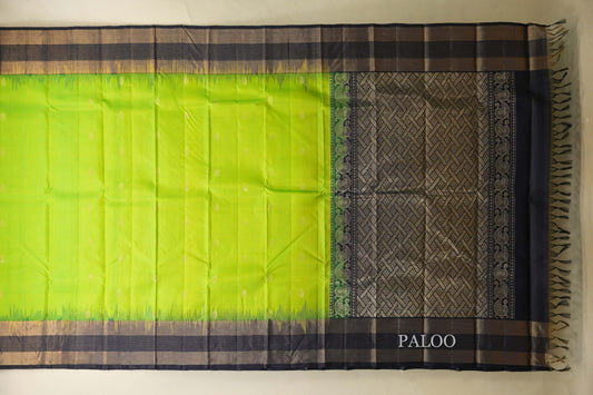 Parrot Green Light Weight Kanjivaram Silk Saree paloo