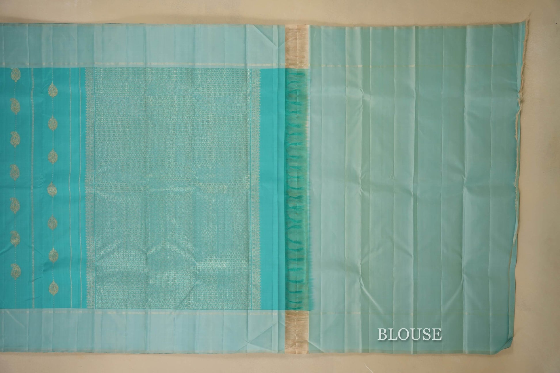 Sky Blue Kanjivaram Silk Saree blouse