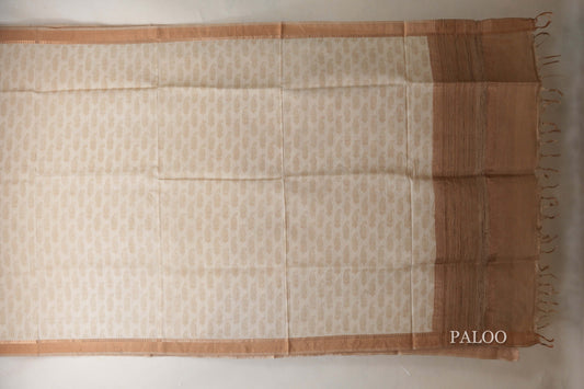 Cream with Beige gold Borders Tussar silk saree paloo