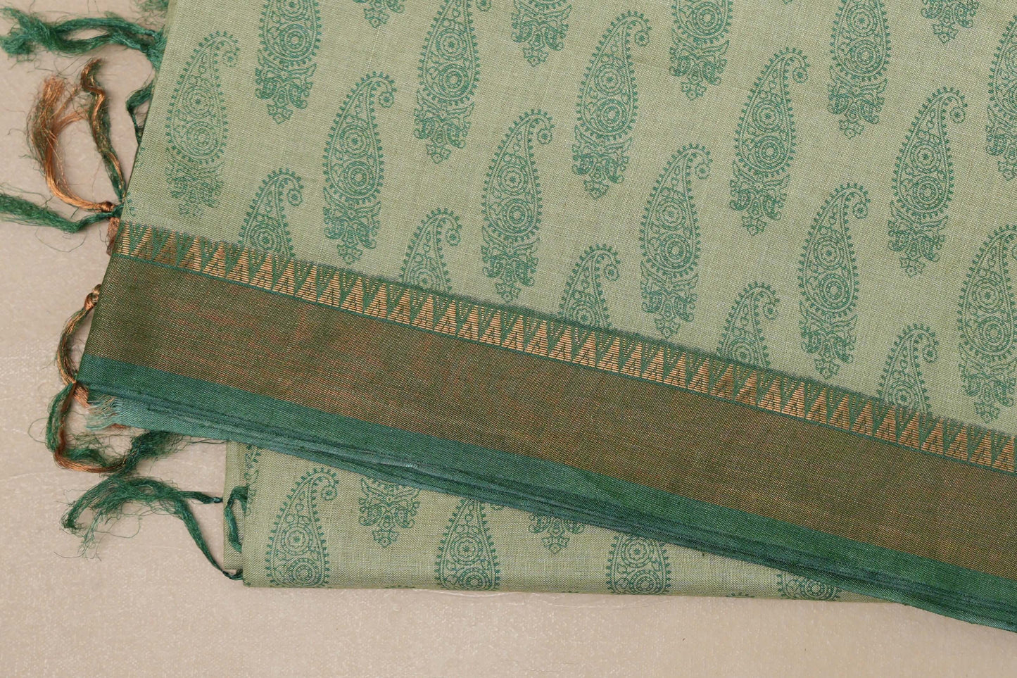 Pastel green with leaf green borders Bhagalpur Tussar silk saree by Shreenivas silks PSSR018841 - Parisera
