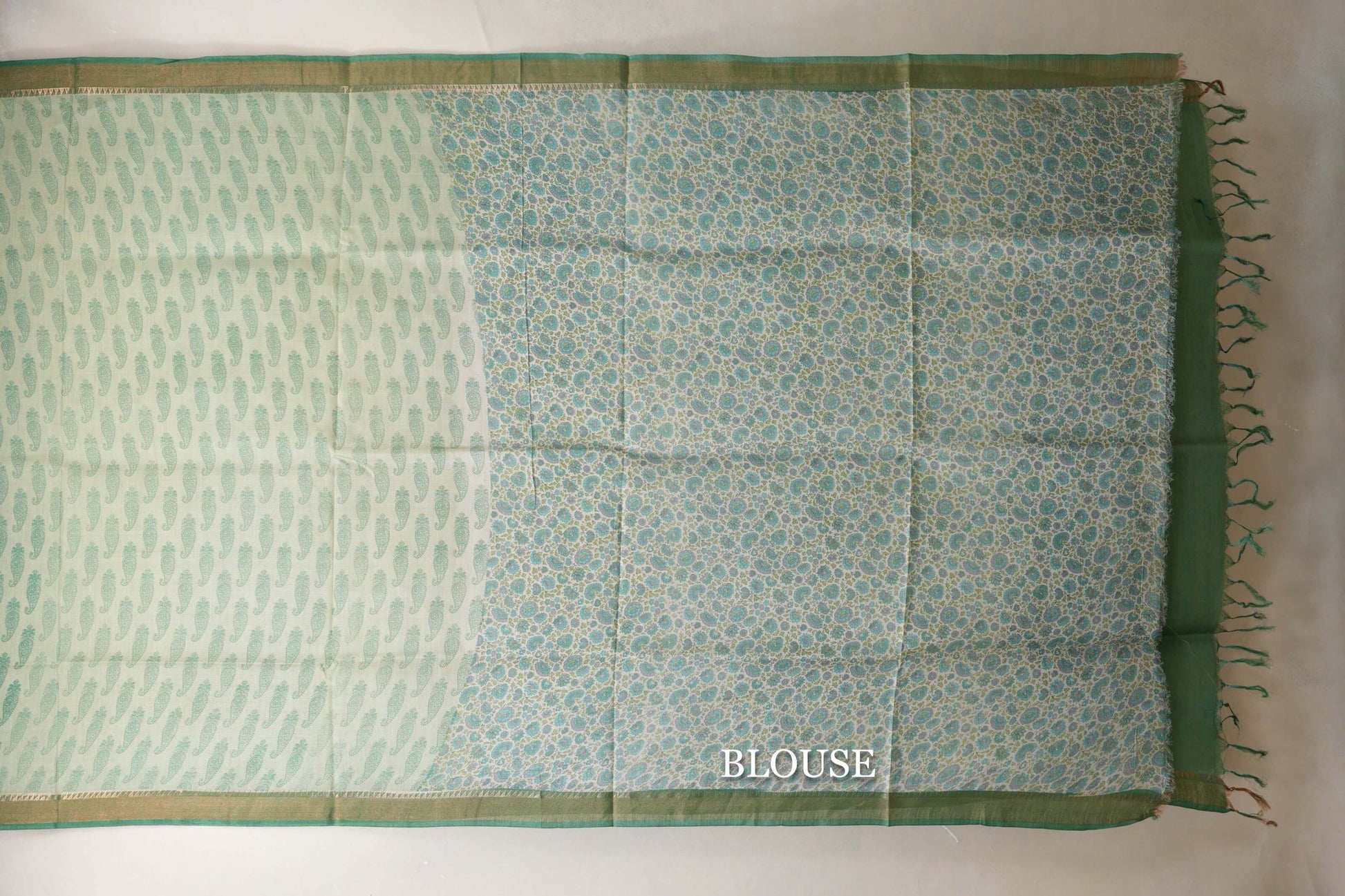 Pastel green with leaf green borders Bhagalpur Tussar silk saree blouse