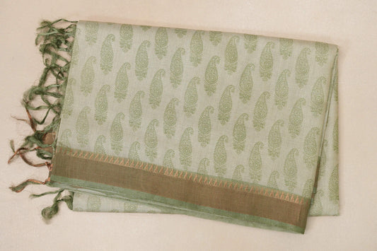 Pastel Sage Green with Sage Green borders Tussar silk saree 