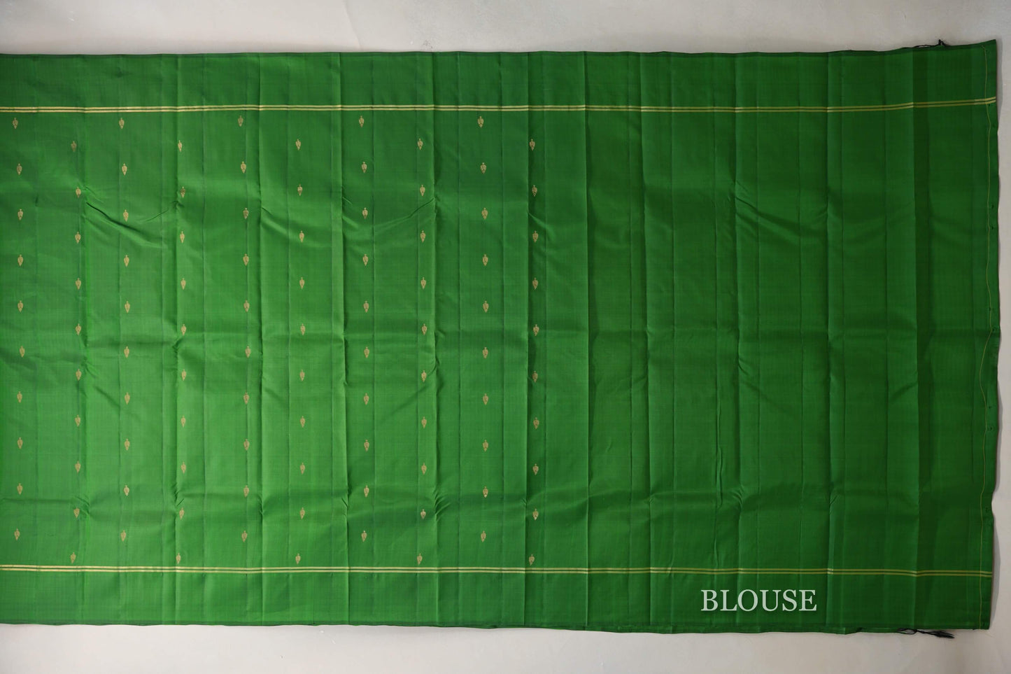Leaf Green Light Weight Kanchipuram Silk Saree by Shreenivas Silks PSSR0110027