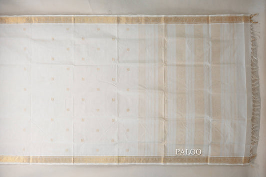 Cream Vegan Silk Cotton Saree  paloo