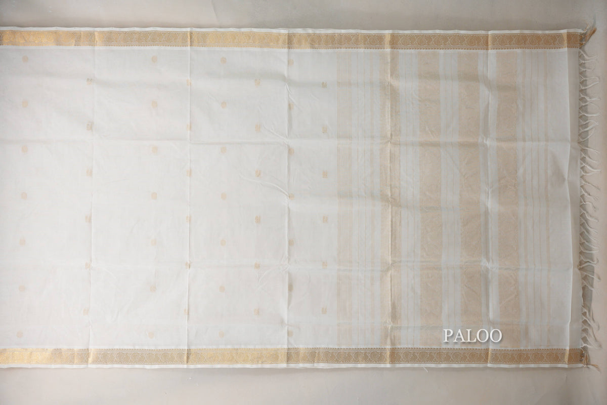 Cream Vegan Silk Cotton Saree by Shreenivas Silks PSSR0110037