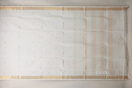 Cream Vegan Silk Cotton Saree  paloo