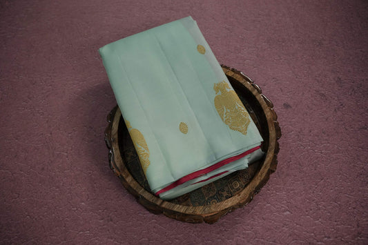 Borderless kanchipuram silk saree