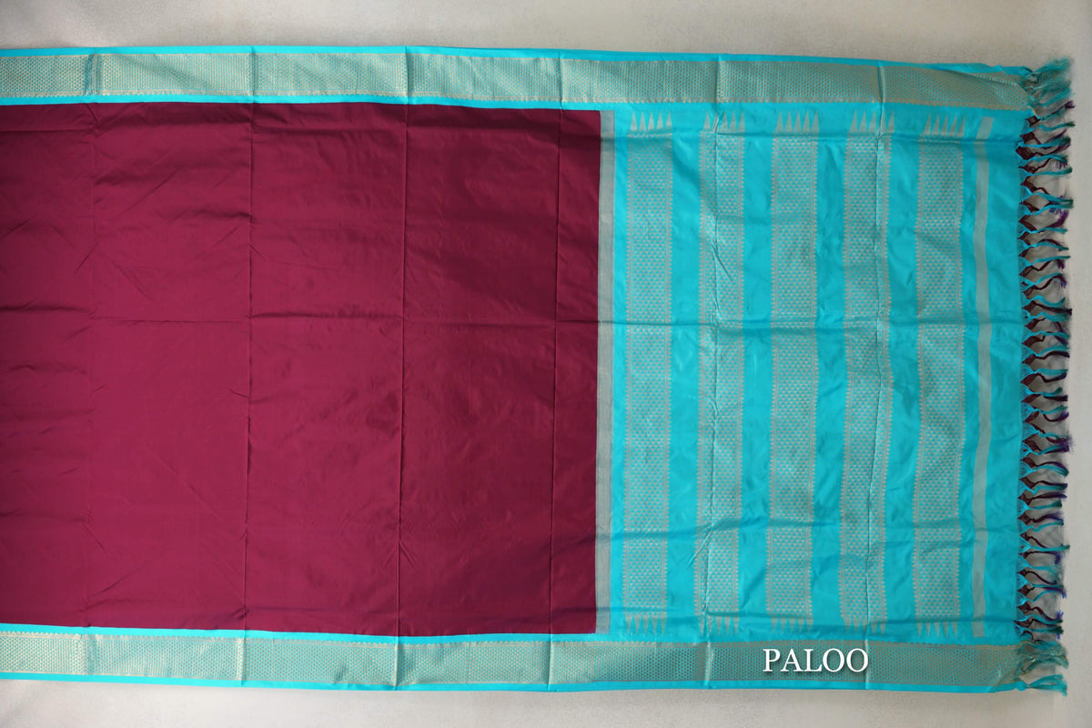 Beetroot Pink with Aqua Blue Borders Ten Yards Silk Saree paloo