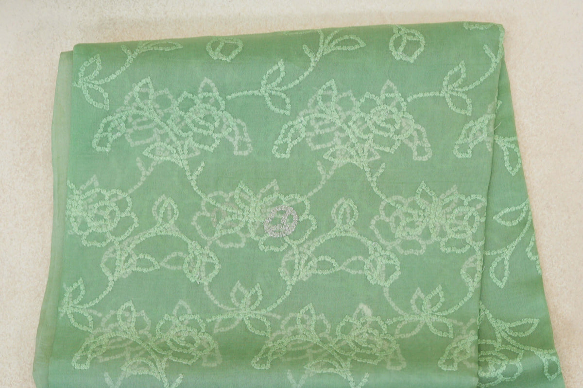 Pastel Green with Multi Color Borders Organza Silk Saree body