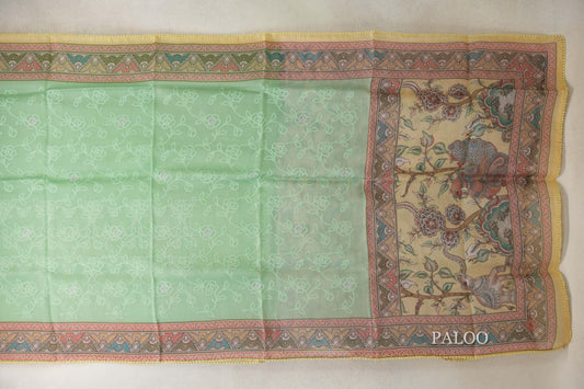 Pastel Green with Multi Color Borders Organza Silk Saree paloo