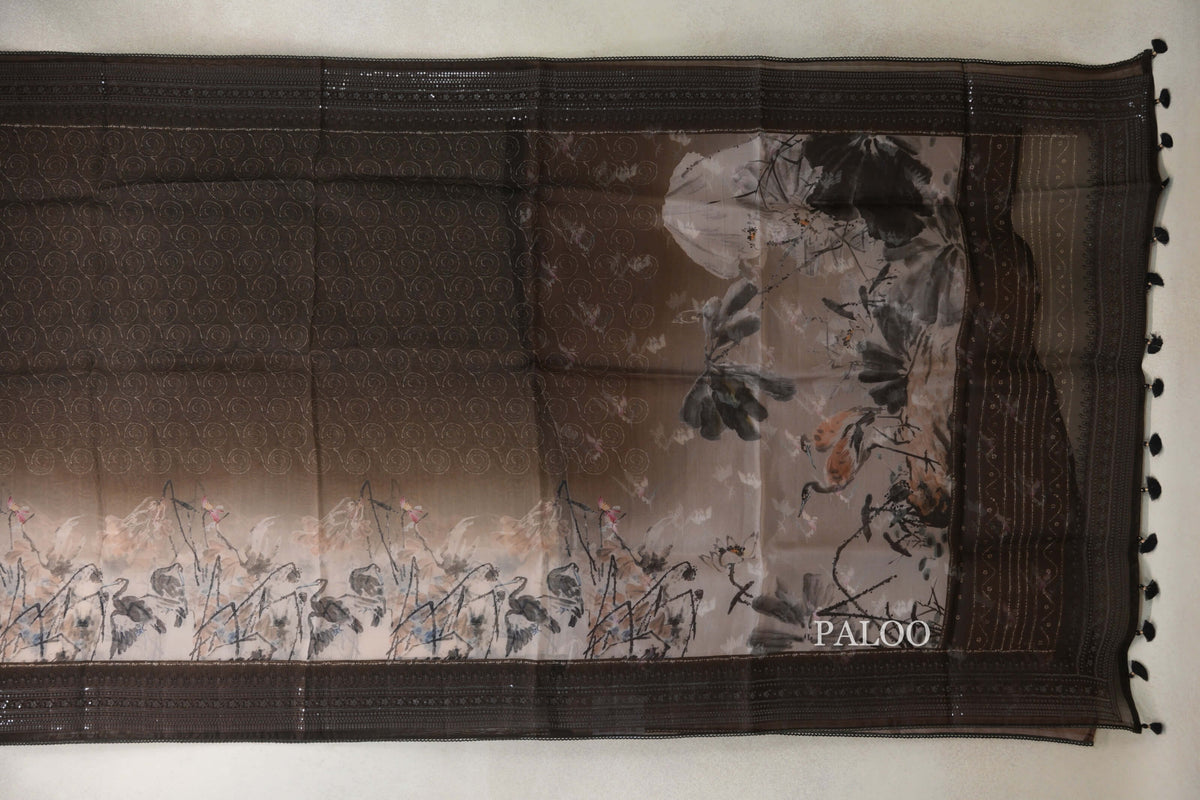 Multi Color with Coffee Bean Brown Borders Organza Silk Saree paloo