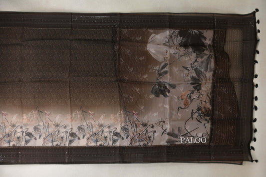 Multi Color with Coffee Bean Brown Borders Organza Silk Saree paloo