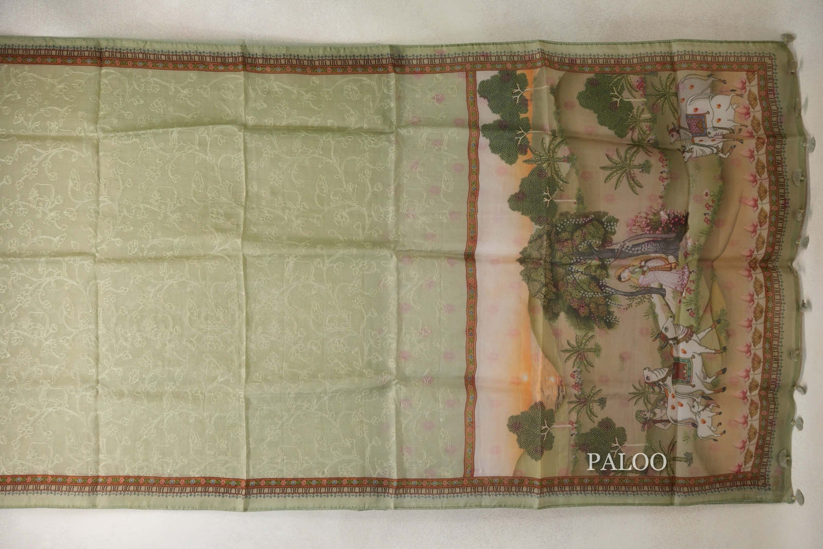 Sage Green with Multi Color Borders Organza Silk Saree paloo