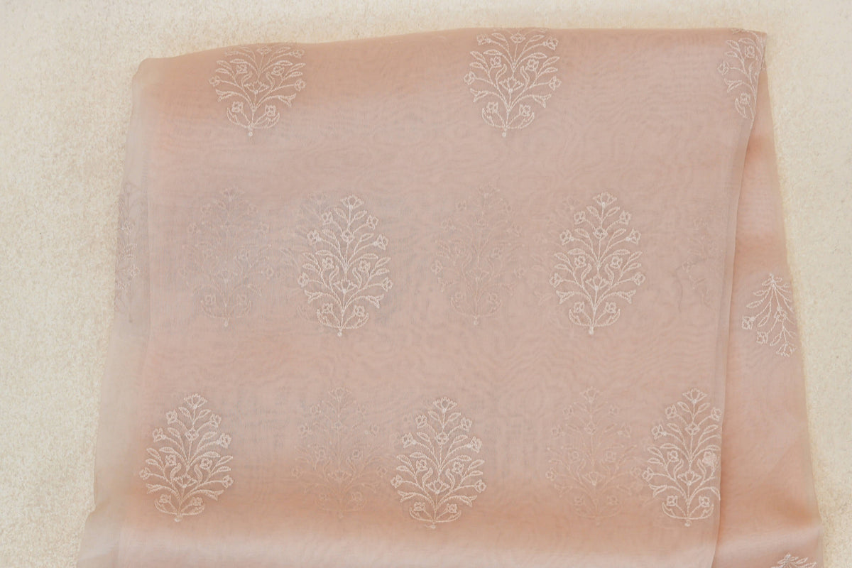 Champagne Peach Organza Silk Saree body