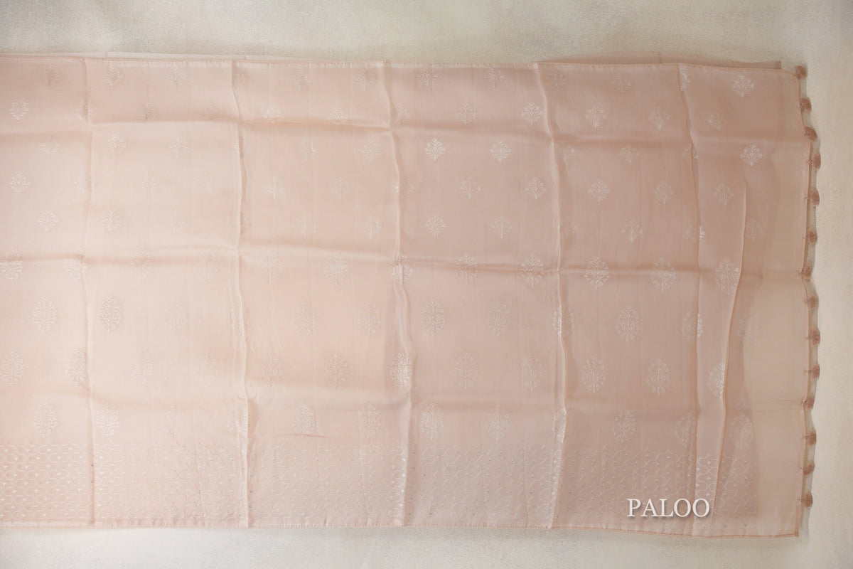 Champagne Peach Organza Silk Saree paloo