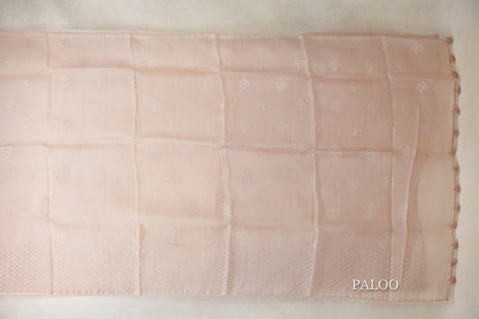 Champagne Peach Organza Silk Saree paloo