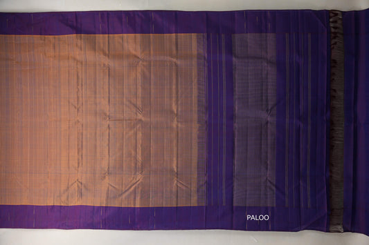 Dual Tone Mustard and Blue Plant Based Kanjivaram Silk Saree by Shreenivas Silks  paloo