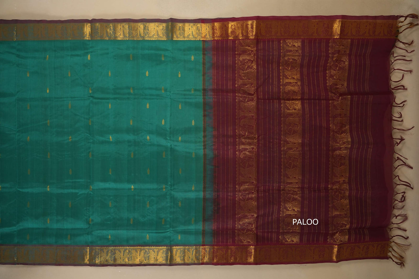 Teal saree with a maroon border and gold patterns with open paloo, silk cotton , nine and a half yards saree