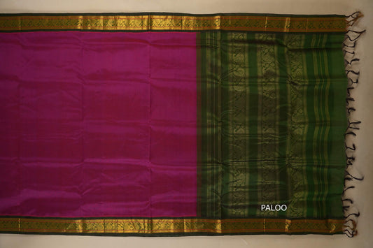 Purple and green saree with a gold border and paloo, silk cotton , nine and a half yards saree