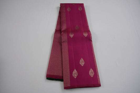 Borderless kanchipuram silk saree