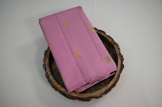 Borderless kanchipuram silk saree